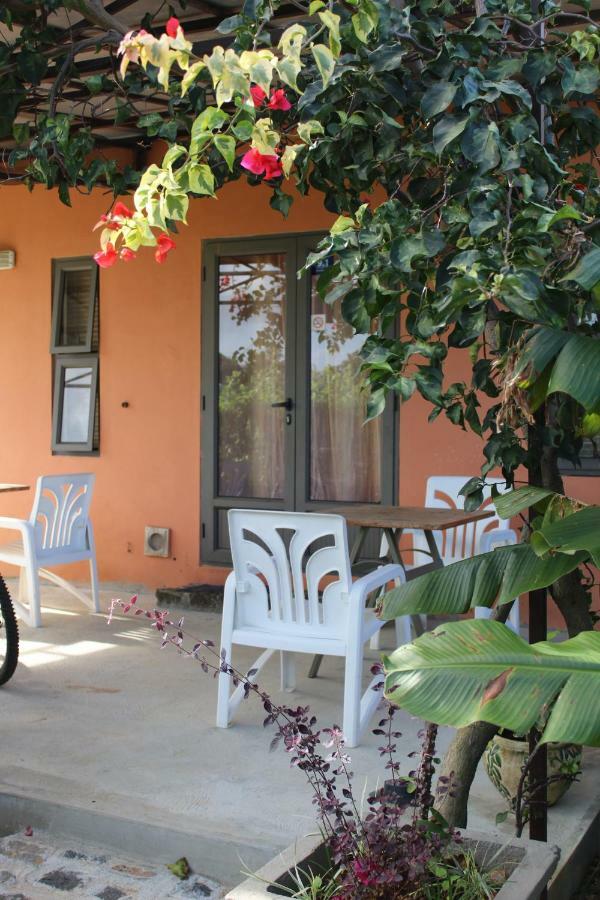 Gite Des Acacias Union Vale エクステリア 写真