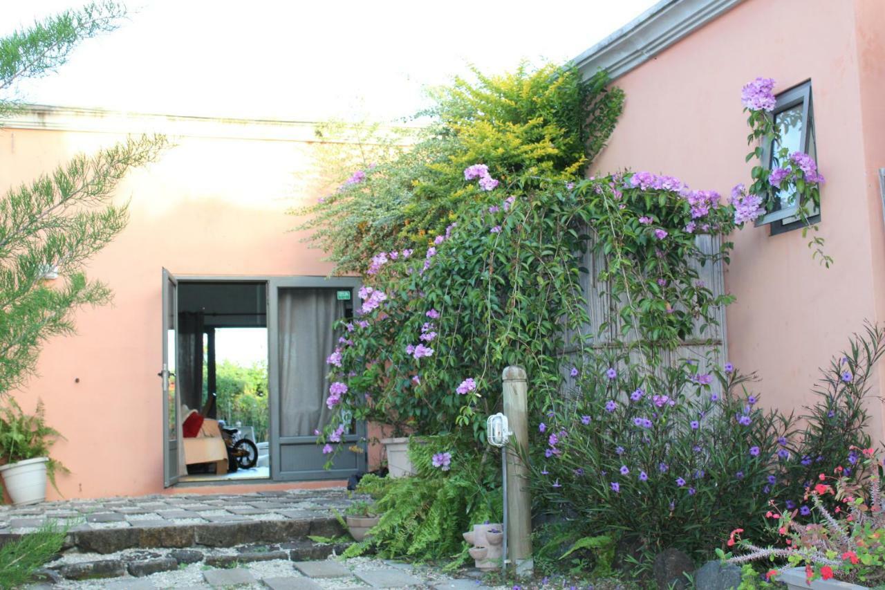 Gite Des Acacias Union Vale エクステリア 写真